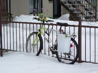 Appartement de vacances �/en/au Montreal (Quebec)ou appartement ou maison de vacances