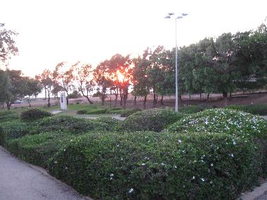 Appartement de vacances �/en/au Haifa (Hefa (Haifa))ou appartement ou maison de vacances