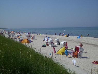 Appartement de vacances /en/au Dierhagen (Fischland-Dar-Zingst)ou appartement ou maison de vacances