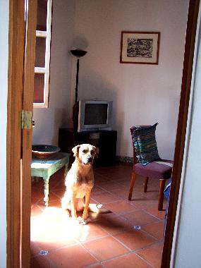 Appartement de vacances �/en/au Antigua (Sacatepequez)ou appartement ou maison de vacances