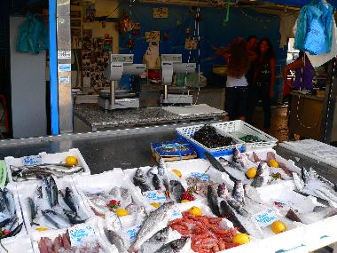 Appartement de vacances /en/au Roma (Rome)ou appartement ou maison de vacances