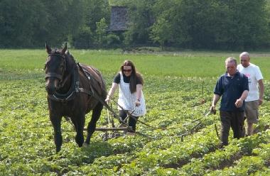 Villa /en/au Stryszow near Krakow (Malopolskie)ou appartement ou maison de vacances