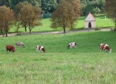 Villa /en/au Stryszow near Krakow (Malopolskie)ou appartement ou maison de vacances