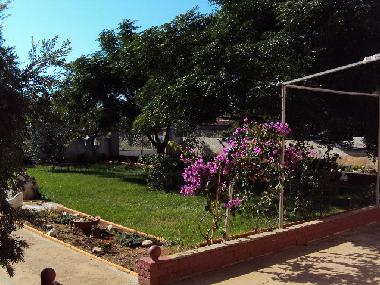 Appartement de vacances �/en/au Privlaka-Zadar (Zadarska)ou appartement ou maison de vacances