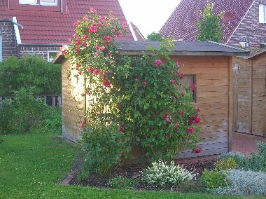 Appartement de vacances �/en/au Greetsiel (Nordsee-Festland / Ostfriesland)ou appartement ou maison de vacances
