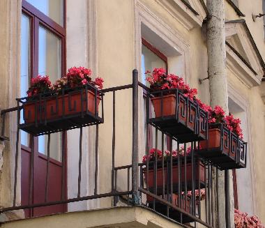 Chambre avec petit d�jeuner �/en/au St. Petersburg (Sankt-Peterburg)ou appartement ou maison de vacances