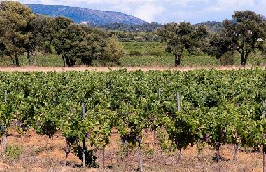 Appartement de vacances �/en/au La Londe les Maures (Var)ou appartement ou maison de vacances