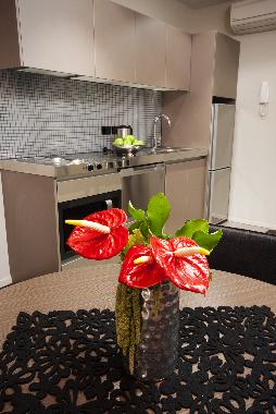 Appartement de vacances �/en/au Auckland central (Auckland)ou appartement ou maison de vacances