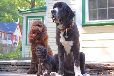 Maison de vacances �/en/au Woodstock (New York)ou appartement ou maison de vacances