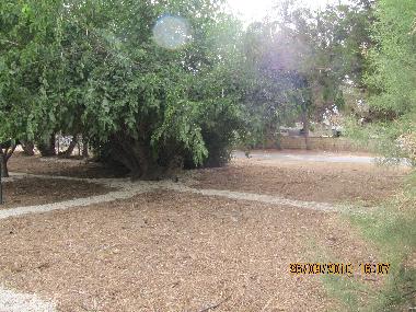 Appartement de vacances �/en/au Mikhmoret (Tel Aviv)ou appartement ou maison de vacances