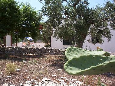 Maison de vacances /en/au Leuca (Lecce)ou appartement ou maison de vacances