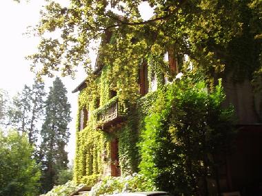 Chambre avec petit d�jeuner �/en/au Saint Amans Soult (Tarn)ou appartement ou maison de vacances