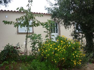 Maison de vacances �/en/au cernache do bonjardim (Pinhal Interior Sul)ou appartement ou maison de vacances