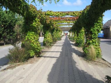 Appartement de vacances /en/au ST TROPEZ (Var)ou appartement ou maison de vacances