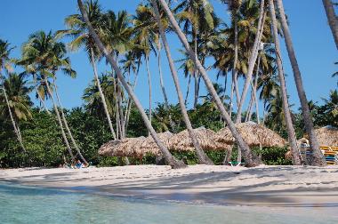 Chalet �/en/au Las Galeras - Saman� (Samana)ou appartement ou maison de vacances