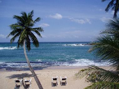 Villa /en/au Aluthgama (Kalutara)ou appartement ou maison de vacances