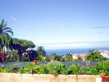 Maison de vacances �/en/au Puerto de la Cruz (Teneriffa)ou appartement ou maison de vacances