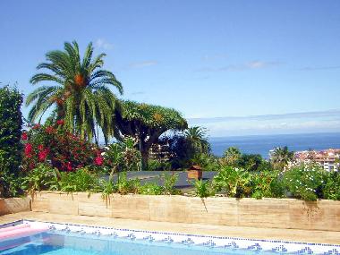 Maison de vacances �/en/au Puerto de la Cruz (Teneriffa)ou appartement ou maison de vacances
