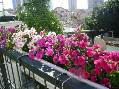 Chambre avec petit d�jeuner �/en/au Tel Aviv (Tel Aviv)ou appartement ou maison de vacances