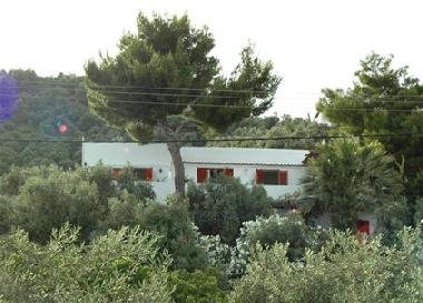 Maison de vacances /en/au Skiathos (Magnisia)ou appartement ou maison de vacances