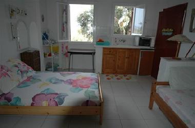 Maison de vacances /en/au Skiathos (Magnisia)ou appartement ou maison de vacances