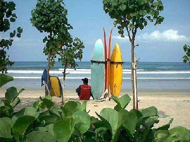 le meilleur spot pour apprendre le surf.