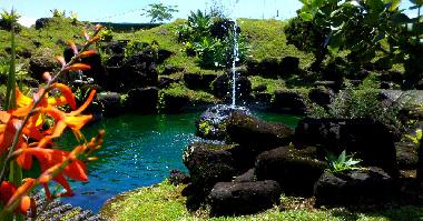 Chambre avec petit d�jeuner �/en/au Hilo (Hawaii)ou appartement ou maison de vacances