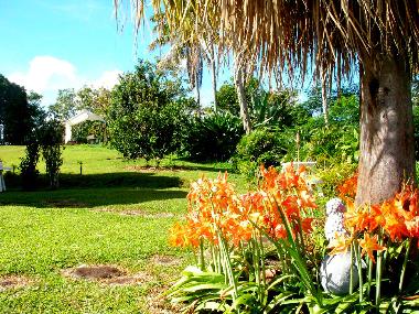 Chambre avec petit d�jeuner �/en/au Hilo (Hawaii)ou appartement ou maison de vacances