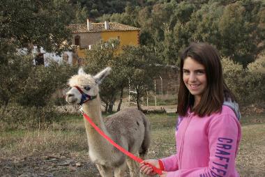 Appartement de vacances /en/au Montoro (Crdoba)ou appartement ou maison de vacances