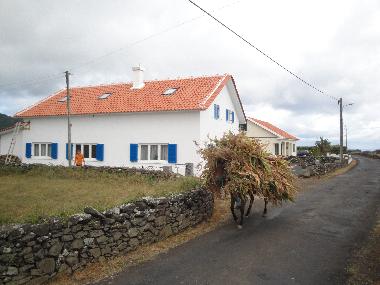 Chambre avec petit djeuner /en/au Almagreira (Azores)ou appartement ou maison de vacances