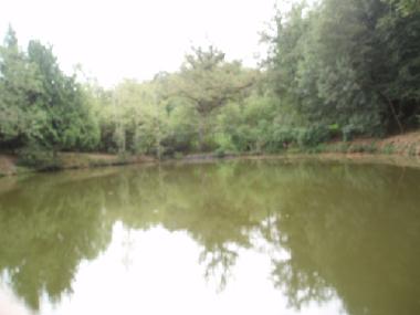 Maison de vacances /en/au St Priest la March (Centre)ou appartement ou maison de vacances