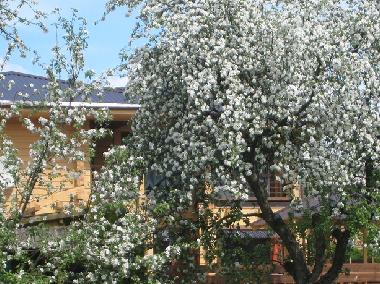 Maison de vacances �/en/au Vilnius (Vilniaus Apskritis)ou appartement ou maison de vacances