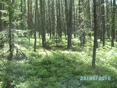 Appartement de vacances /en/au Vohenstrau (Oberpfalz)ou appartement ou maison de vacances