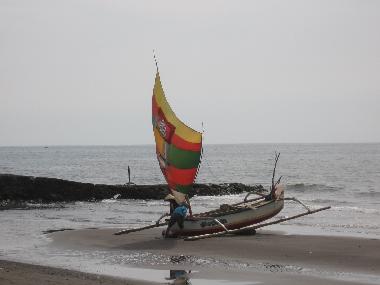 Maison de vacances �/en/au Dencarik (Bali)ou appartement ou maison de vacances