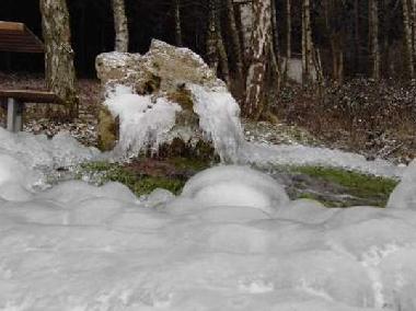 Appartement de vacances �/en/au Klettgau-Rechberg (Schwarzwald)ou appartement ou maison de vacances