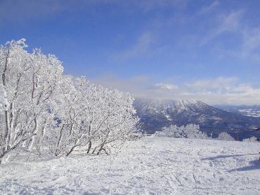 Chalet �/en/au Hirafu (Hokkaido)ou appartement ou maison de vacances