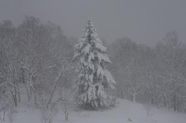 Chalet �/en/au Hirafu (Hokkaido)ou appartement ou maison de vacances