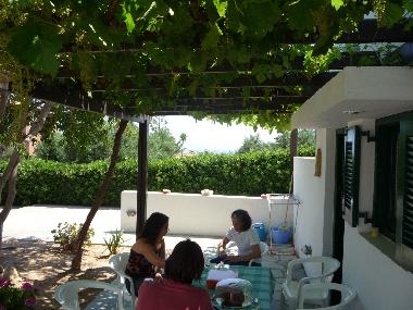 Appartement de vacances /en/au Hersonissos Port (Irakleio)ou appartement ou maison de vacances