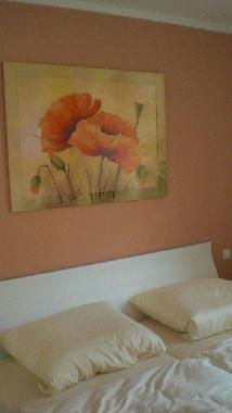 Appartement de vacances /en/au Zingst (Fischland-Dar-Zingst)ou appartement ou maison de vacances