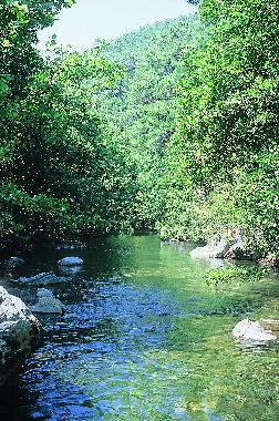 Maison de vacances �/en/au Assos-Tahtakuslar (Canakkale)ou appartement ou maison de vacances