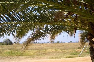 Appartement de vacances /en/au Psakoudia (Chalkidiki)ou appartement ou maison de vacances