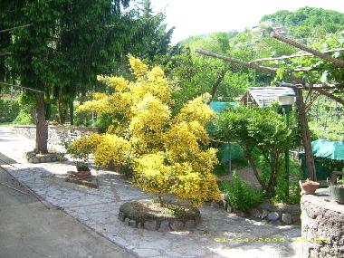 Appartement de vacances �/en/au Tramonti - Costiera Amalfitana - (Salerno)ou appartement ou maison de vacances