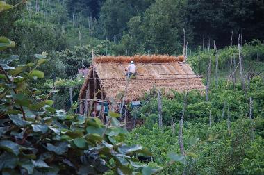 Appartement de vacances �/en/au Tramonti - Costiera Amalfitana - (Salerno)ou appartement ou maison de vacances