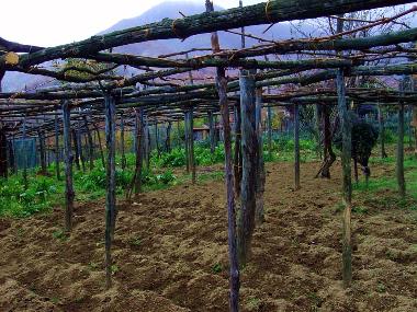 Appartement de vacances �/en/au Tramonti - Costiera Amalfitana - (Salerno)ou appartement ou maison de vacances