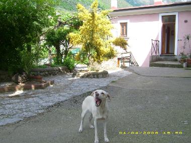 Appartement de vacances /en/au Tramonti - Costiera Amalfitana - (Salerno)ou appartement ou maison de vacances