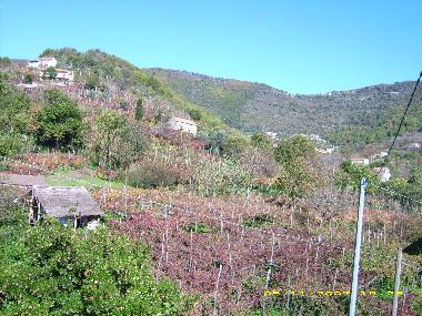 Appartement de vacances /en/au Tramonti - Costiera Amalfitana - (Salerno)ou appartement ou maison de vacances