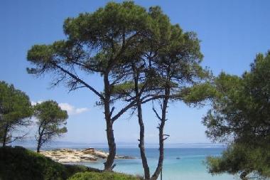 Maison de vacances /en/au Psakoudia (Chalkidiki)ou appartement ou maison de vacances