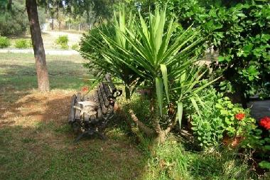 Maison de vacances /en/au Sithonia (Chalkidiki)ou appartement ou maison de vacances