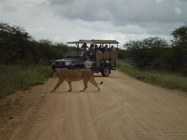 Maison de vacances �/en/au Marloth Park (Mpumalanga)ou appartement ou maison de vacances