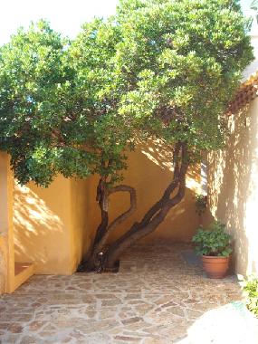 Maison de vacances /en/au Baja Sardinia (Olbia-Tempio)ou appartement ou maison de vacances